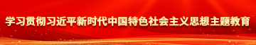 狂操gv视频学习贯彻习近平新时代中国特色社会主义思想主题教育